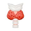 Thyroid