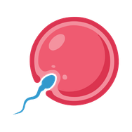 Fertility Check