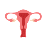 PCOD & PCOS